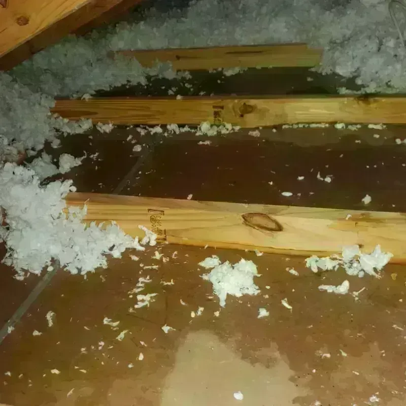 Attic Water Damage in Greenwood, WI