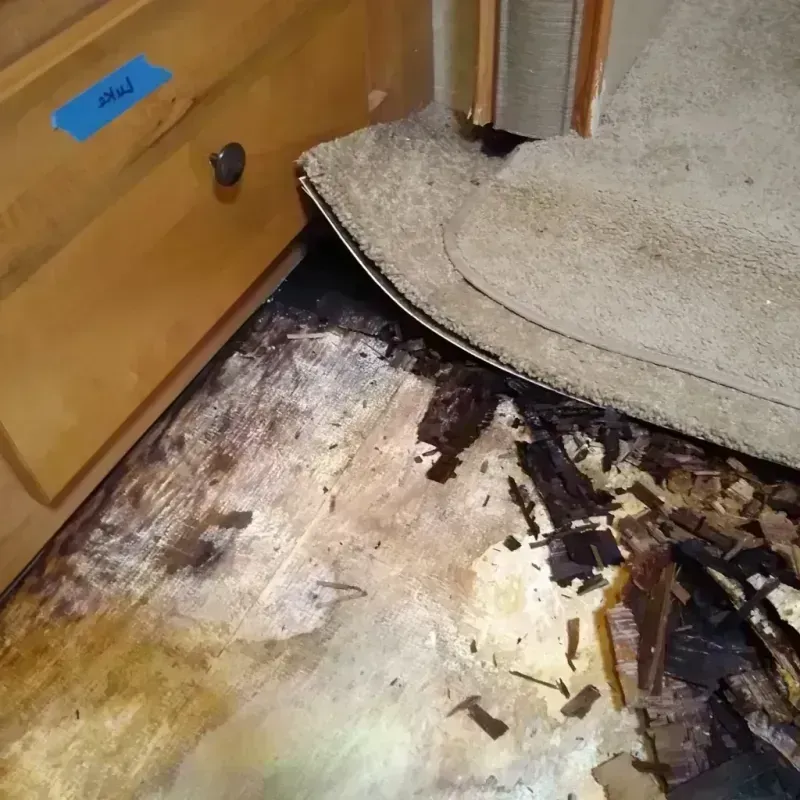 Wood Floor Water Damage in Greenwood, WI